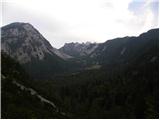 Vranček - Planina Korošica